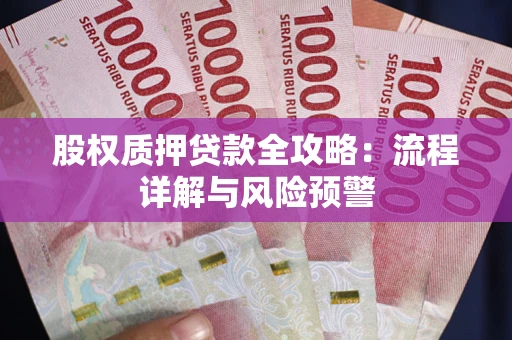 北京股权质押贷款全攻略：流程详解与风险预警