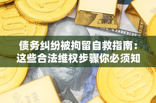 北京债务纠纷被拘留自救指南：这些合法维权步骤你必须知道！