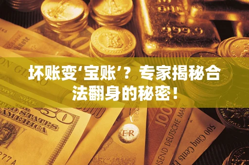北京坏账变‘宝账’？专家揭秘合法翻身的秘密！