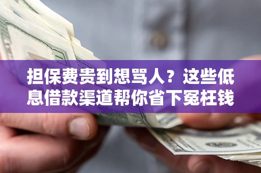北京担保费贵到想骂人？这些低息借款渠道帮你省下冤枉钱