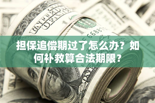 北京担保追偿期过了怎么办？如何补救算合法期限？