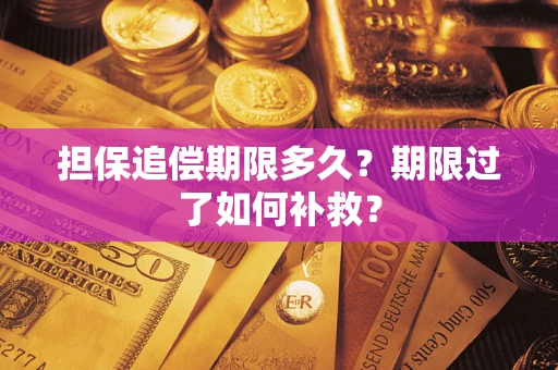 北京担保追偿期限多久？期限过了如何补救？