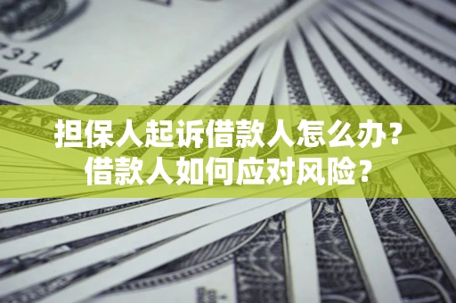 北京担保人起诉借款人怎么办？借款人如何应对风险？