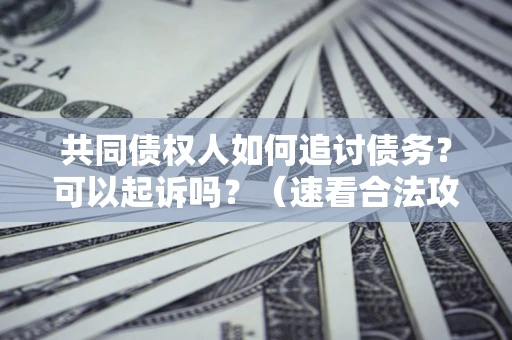 北京共同债权人如何追讨债务？可以起诉吗？（速看合法攻略）