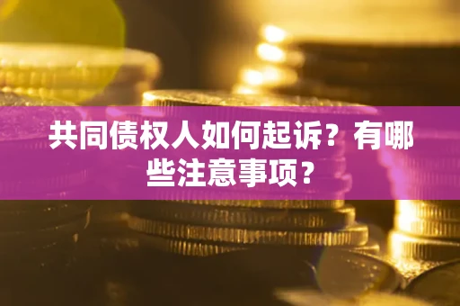 北京共同债权人如何起诉？有哪些注意事项？